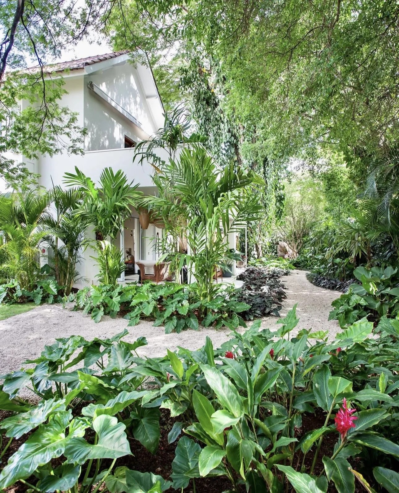 Casa Mollde – Ano 1, fotografia 5